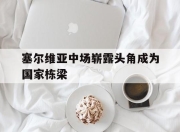 半岛体育平台-塞尔维亚中场崭露头角成为国家栋梁的简单介绍