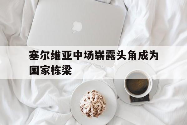 塞尔维亚中场崭露头角成为国家栋梁的简单介绍